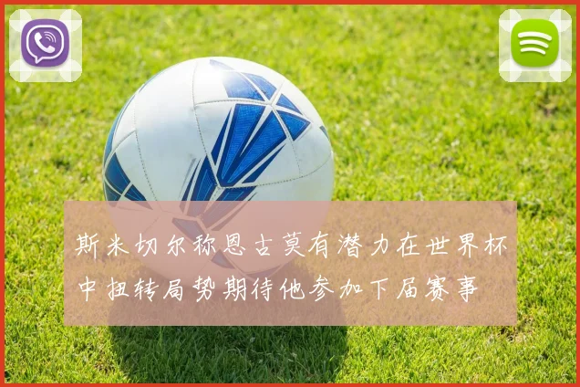斯米切尔称恩古莫有潜力在世界杯中扭转局势期待他参加下届赛事