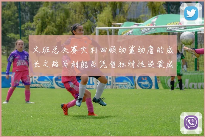 文班总决赛失利回顾幼鲨幼詹的成长之路马刺能否凭借独特性逆袭成功